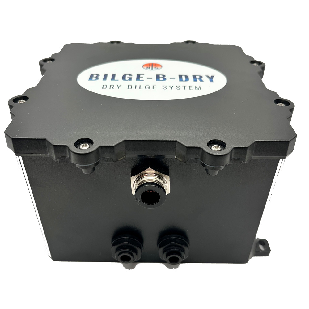 BILGE-B-DRY Dual Pump - 12VDC BILGE-B-DRY Dual Pump - 12VDC - Imagen 1