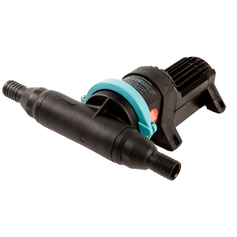 Whale Gulper Grouper Fishbox Evacuation Pump 12V Whale Gulper Grouper Fishbox Evacuation Pump 12V - Imagen 1