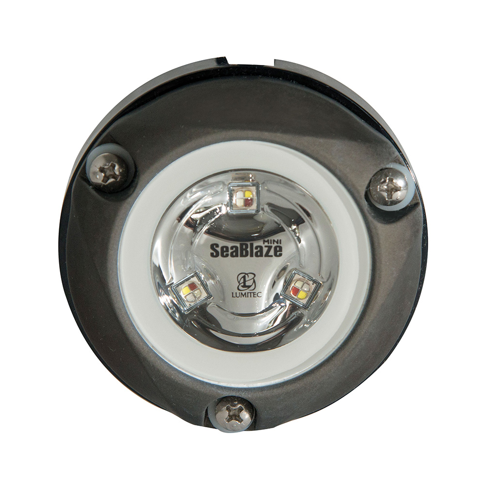 Lumitec Zambezi Mini Surface Mount Underwater Light - White - Non-Dimming Lumitec Zambezi Mini Surface Mount Underwater Light - White - Non-Dimming - Imagen 1