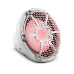 DS18 10" Marine Subwoofer With LED RGB Lights 300 Watts Rms SVC 4-Ohm -White